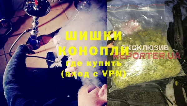 PSILOCYBIN Горняк