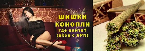 PSILOCYBIN Горняк