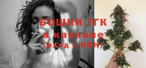 PSILOCYBIN Горняк