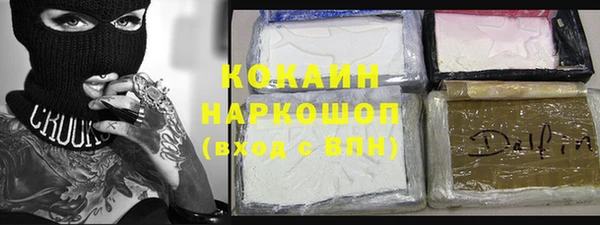 PSILOCYBIN Горняк
